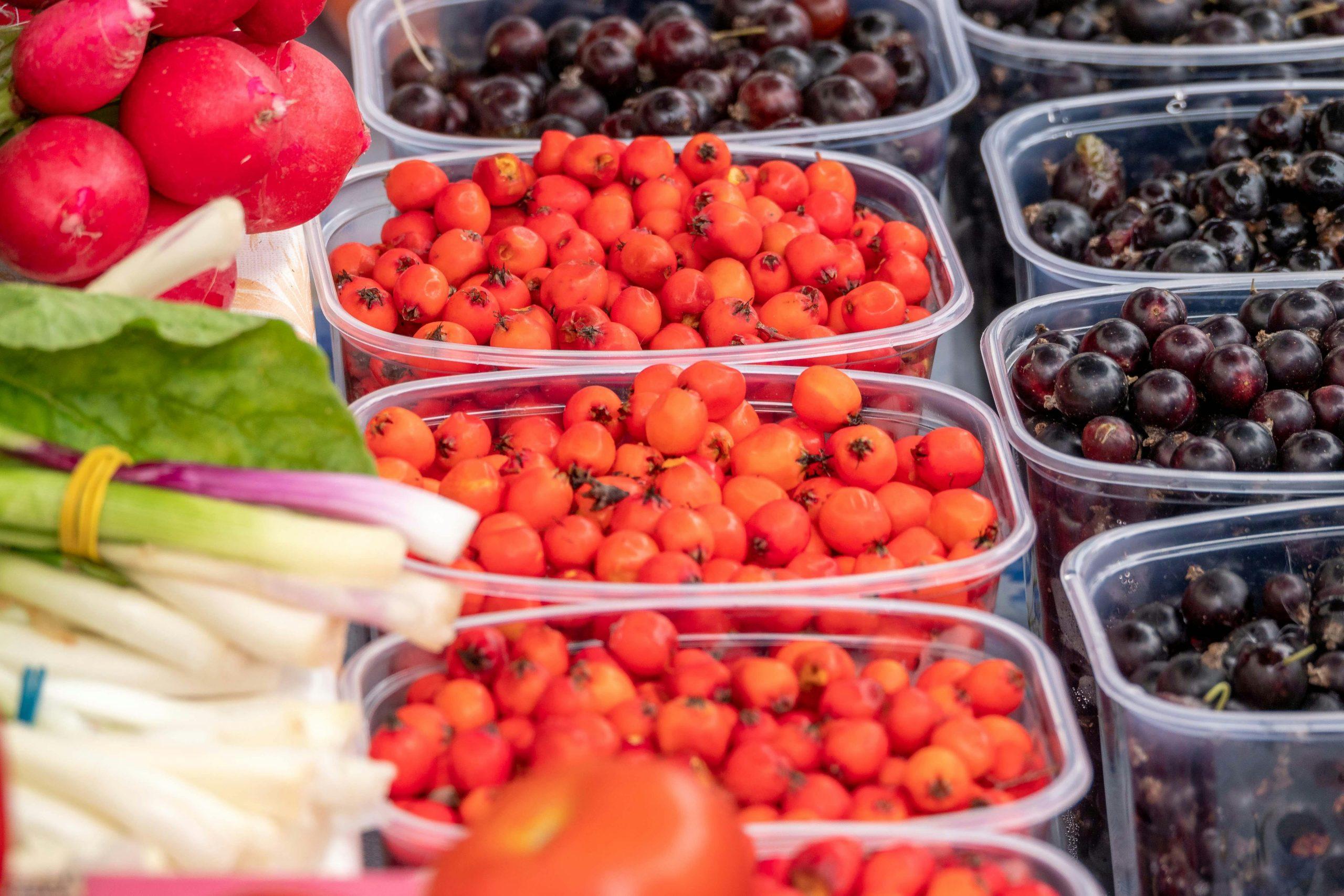 L'EUROPA ABOLISCE IL BISFENOLO NEI CONTENITORI ALIMENTARI